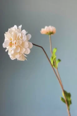 Pip Kunstbloemen Vanilla Bloom<Pip Studio Hot